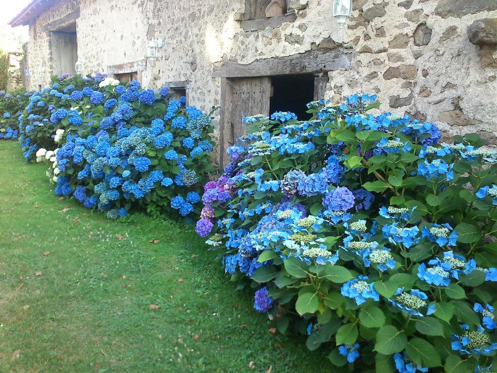 Le Domaine De Panissac Bed & Breakfast Berneuil  Bagian luar foto